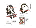 Предварительный просмотр 4 страницы Safety 1st Comfy Carry Elite Instructions Manual