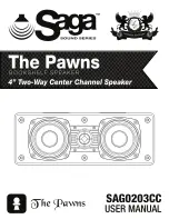 Saga The Pawns SAG0203CC User Manual preview