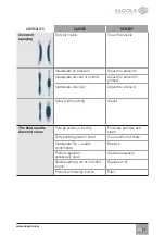 Предварительный просмотр 21 страницы Sagola 3000 ZEUS Instruction Manual