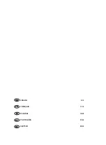 Предварительный просмотр 2 страницы Saivod Electron Dry Instructions For Use Manual