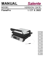 Salente FlamePro Manual preview