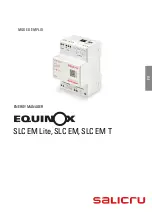 Предварительный просмотр 101 страницы Salicru Equinox SLC EM Lite User Manual