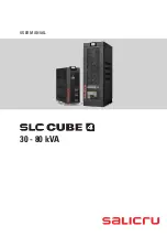 Salicru SLC CUBE4 User Manual предпросмотр