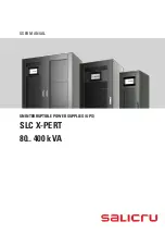 Salicru SLC X-PERT Series User Manual preview