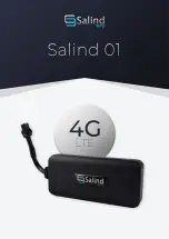 Salind Salind 01 Manual preview