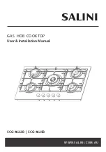 Salini SCG-4622B User & Installation Manual preview