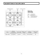 Предварительный просмотр 6 страницы Salini SCG-6182B Instruction Manual