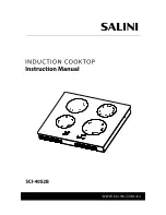 Salini SCI-4052B Instruction Manual preview