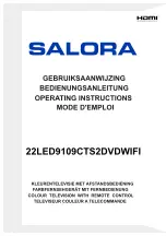 Предварительный просмотр 1 страницы Salora 10126781 Operating Instructions Manual