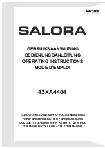 Salora 10131436 Operating Instructions Manual предпросмотр