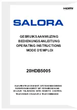 Salora 20HDB5005 Operating Instructions Manual предпросмотр