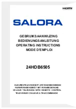 Salora 24HDB6505 Operating Instructions Manual предпросмотр