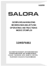 Salora 32WSF6002 Operating Instructions Manual предпросмотр