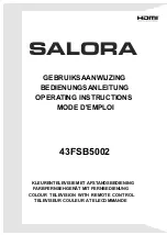 Salora 43FSB5002 Operating Instructions Manual preview