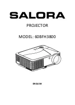 Salora 60BFH3800 Manual preview