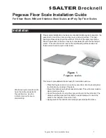 Salter Brecknell Pegasus Floor Scale Installation Manual preview