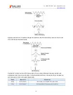 Preview for 30 page of Saluki Technology MSO1000 User Manual