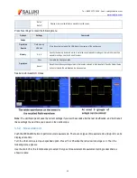 Preview for 40 page of Saluki Technology MSO1000 User Manual