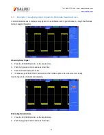 Preview for 60 page of Saluki Technology MSO1000 User Manual