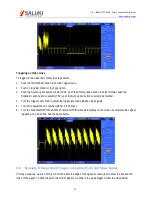 Preview for 65 page of Saluki Technology MSO1000 User Manual