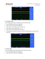 Preview for 71 page of Saluki Technology MSO1000 User Manual