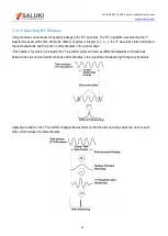 Preview for 28 page of Saluki DSO1000 User Manual