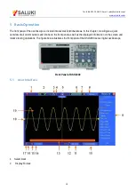 Preview for 19 page of Saluki DSO2000 User Manual