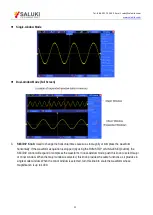 Preview for 23 page of Saluki DSO2000 User Manual