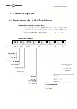 Preview for 17 page of SAMES KREMLIN REXSON SH0715 User Manual