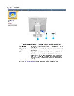 Preview for 17 page of Samsung 174V - LCD Monitor User Manual