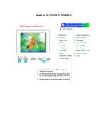 Preview for 31 page of Samsung 174V - LCD Monitor User Manual