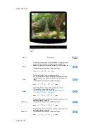 Preview for 36 page of Samsung 2032NW - SyncMaster - 20" LCD Monitor (Spanish) Manual Del Usuario