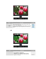 Preview for 29 page of Samsung 215TW - SyncMaster - 21" LCD Monitor User Manual