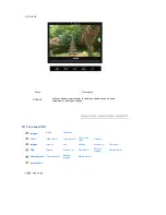 Preview for 43 page of Samsung 225UW - SyncMaster - 22" LCD Monitor Manual Del Usuario