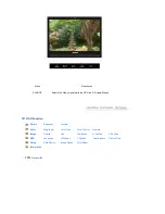 Preview for 41 page of Samsung 225UW - SyncMaster - 22" LCD Monitor User Manual