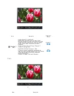 Preview for 41 page of Samsung 275T - SyncMaster - 27" LCD Monitor (Spanish) Manual Del Usuario