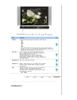 Preview for 34 page of Samsung 730MW - SyncMaster - 17" LCD Monitor Manual Del Usuario