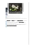 Предварительный просмотр 34 страницы Samsung 730MW - SyncMaster - 17" LCD Monitor User Manual