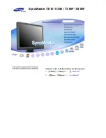 Samsung 731BF - SyncMaster - 17" LCD Monitor (Spanish) Manual Del Usuario preview