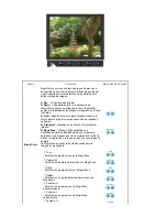 Preview for 29 page of Samsung 740BF - SyncMaster - 17" LCD Monitor (Spanish) Manual De Usuario