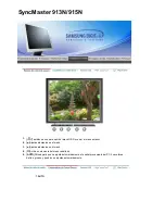 Предварительный просмотр 36 страницы Samsung 912T - SyncMaster - 19" LCD Monitor (Spanish) Manual Del Usuario