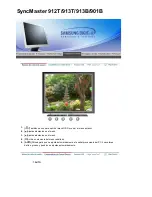 Предварительный просмотр 43 страницы Samsung 912T - SyncMaster - 19" LCD Monitor (Spanish) Manual Del Usuario