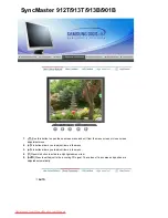 Preview for 42 page of Samsung 915N - SyncMaster - 19" LCD Monitor User Manual