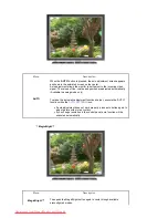 Preview for 43 page of Samsung 915N - SyncMaster - 19" LCD Monitor User Manual