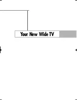 Preview for 7 page of Samsung HL-S4676S - 46" Rear Projection TV Owner'S Instructions Manual