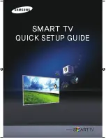 Samsung PL64E8000GF Quick Setup Manual предпросмотр