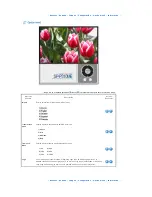 Предварительный просмотр 25 страницы Samsung SP-P310ME Manual Del Usuario