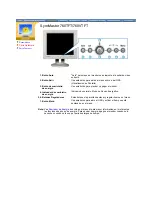 Предварительный просмотр 11 страницы Samsung SyncMaster 171V (Spanish) Manual Del Usuario