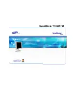 Samsung SyncMaster 172T User Manual preview