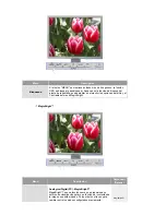 Preview for 28 page of Samsung SyncMaster 204Ts (Spanish) Manual Del Usuario